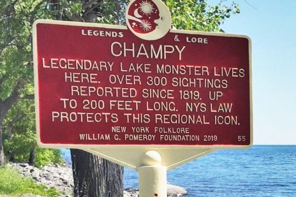 Champy-2-768x768